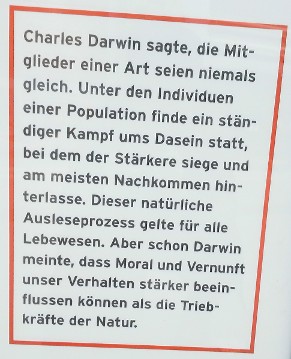 Darwin: Moral und Vernunft