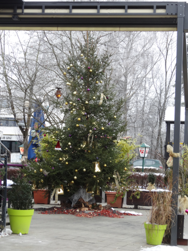 Weihnachtsbaum an der Alpen-Adrian-Universität Klagenfurt, im Dez. 2017